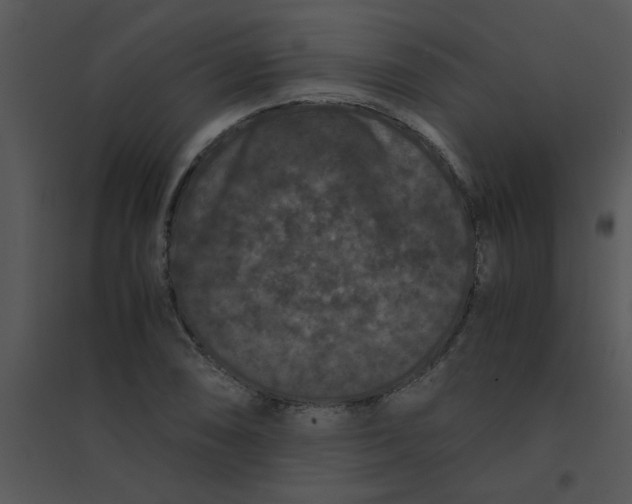 X0000095541074200801041304