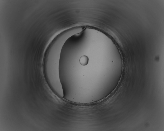 X0000095541076200801041304