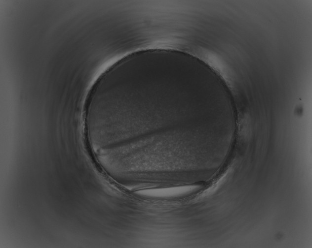 X0000095541077200801041304