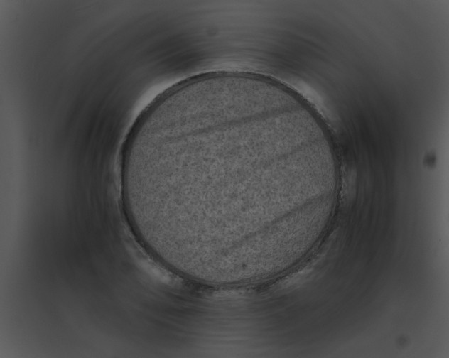 X0000095541078200801041304