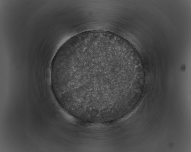 X0000095541079200801041304