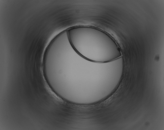 X0000095541080200801041304