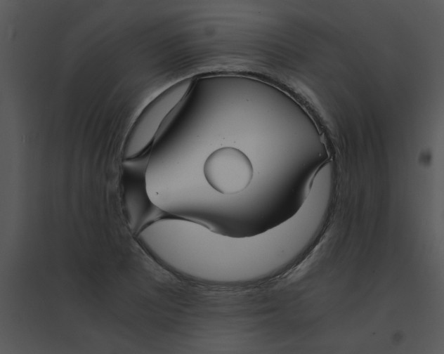 X0000095541081200801041304