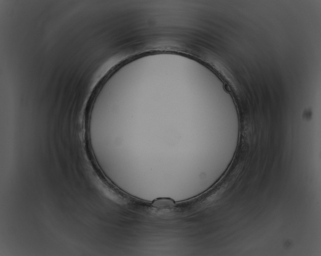 X0000095541082200801041304