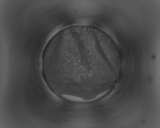 X0000095541083200801041304