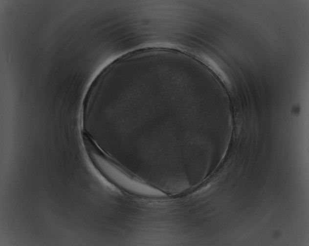 X0000095541084200801041304