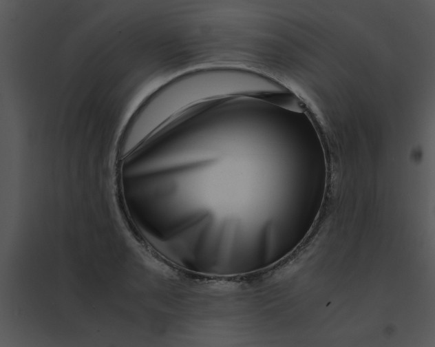 X0000095541085200801041304