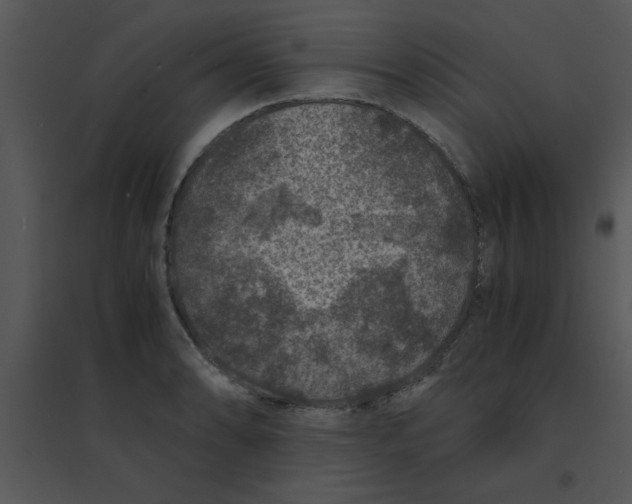 X0000095541086200801041304