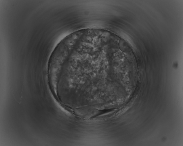 X0000095541087200801041304