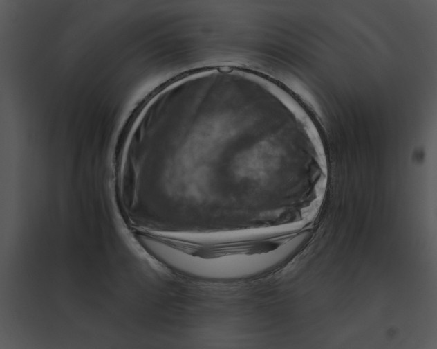 X0000095541088200801041304