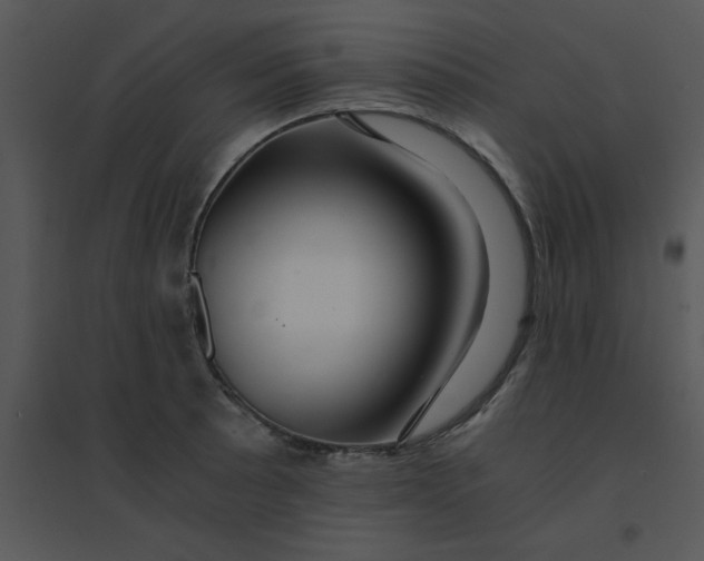 X0000095541089200801041304