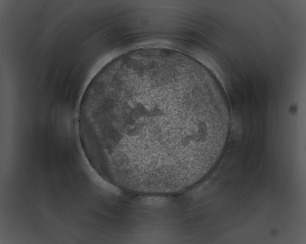 X0000095541090200801041304