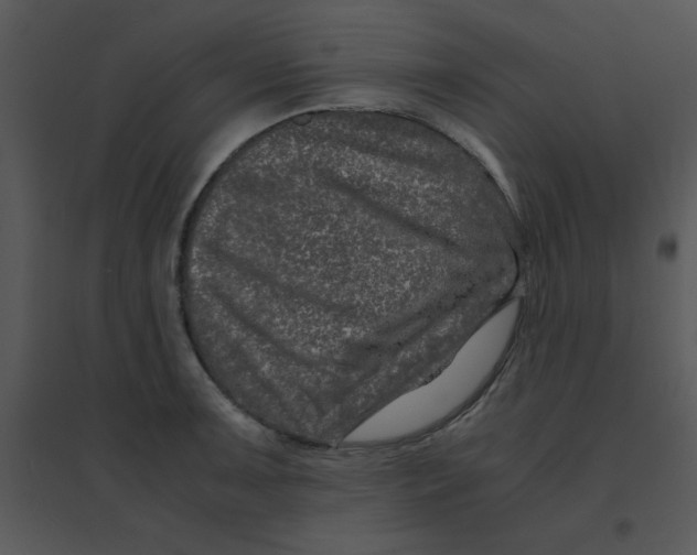 X0000095541091200801041304