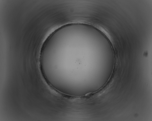 X0000095541093200801041304