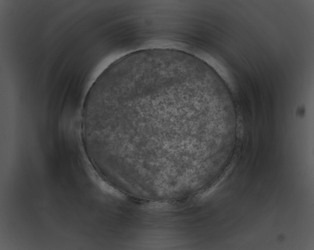 X0000095541094200801041304