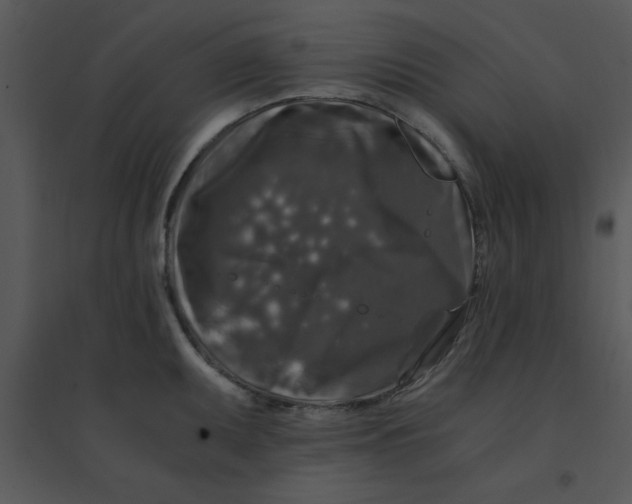 X0000095541095200801041304