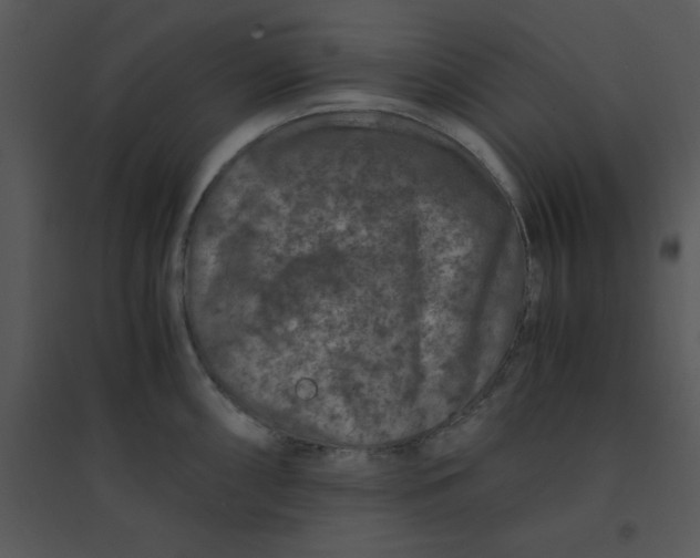 X0000095541098200801041303