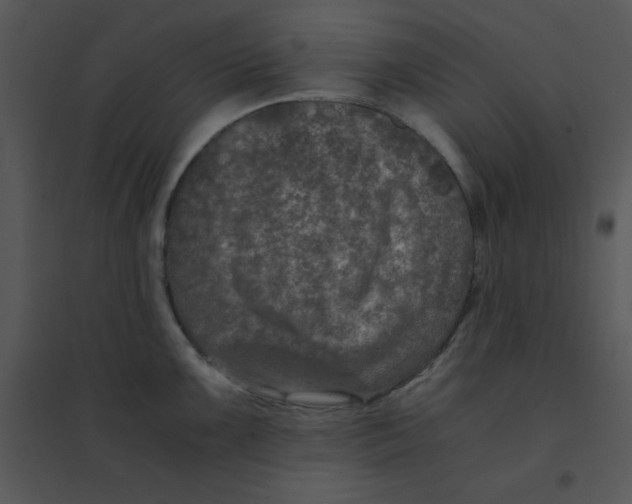 X0000095541099200801041303