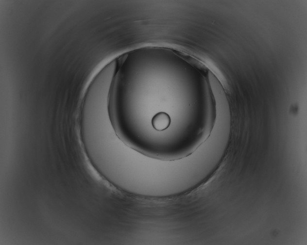 X0000095541100200801041303