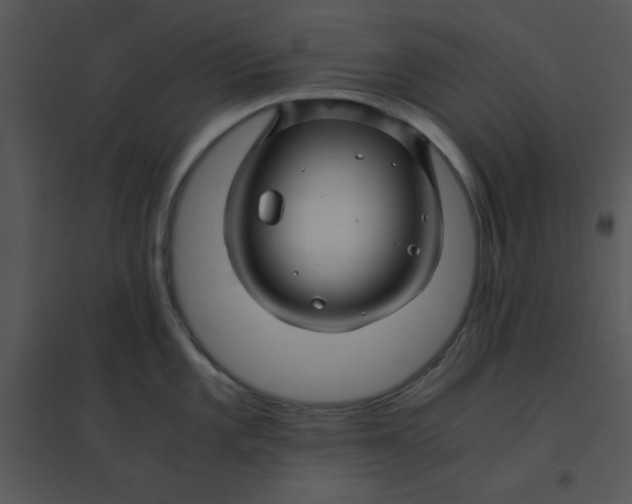 X0000095541101200801041303