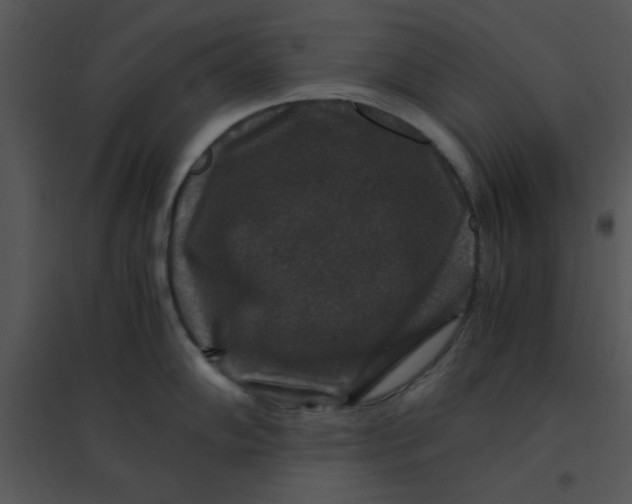 X0000095541102200801041303