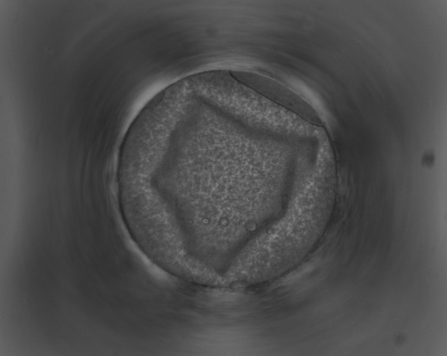 X0000095541103200801041303