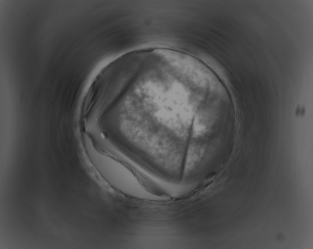 X0000095541104200801041303