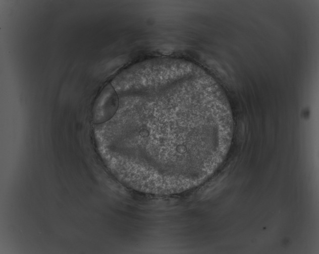 X0000095541105200801041303