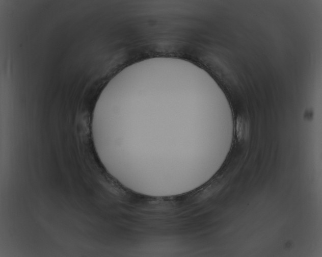 X0000095541107200801041303