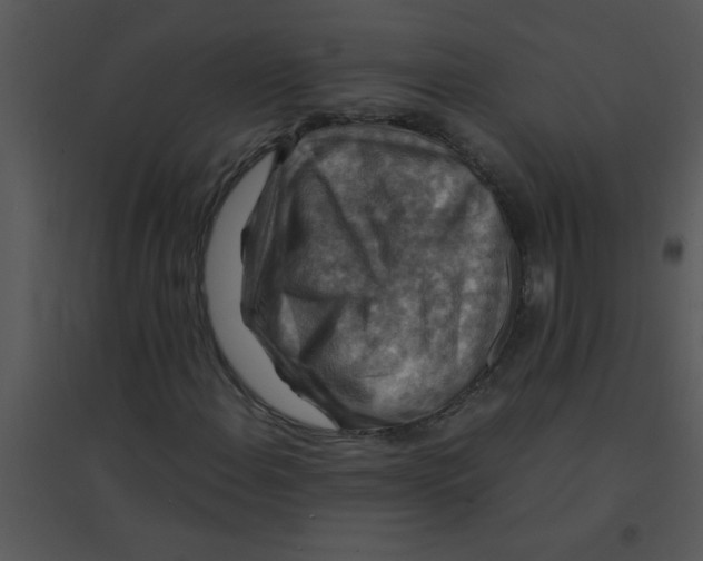 X0000095541108200801041303