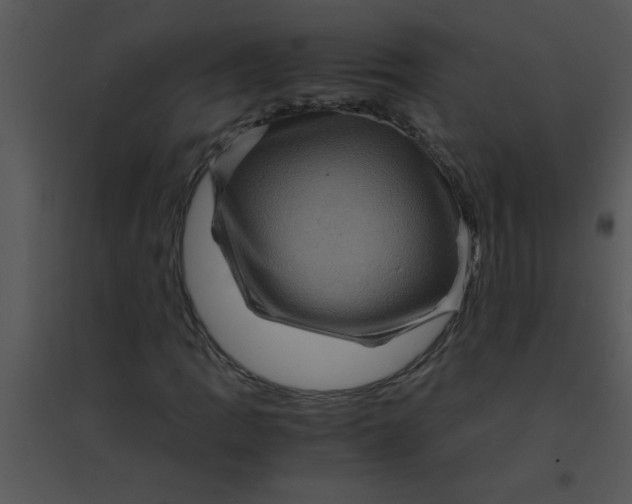 X0000095541109200801041303