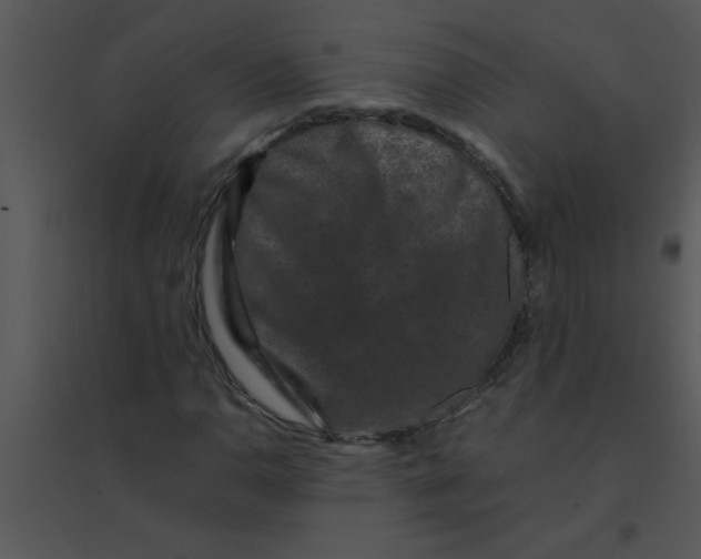 X0000095541110200801041303