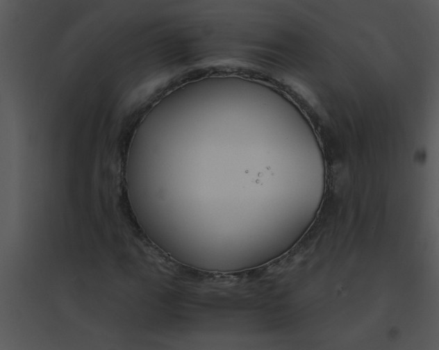 X0000095541111200801041303