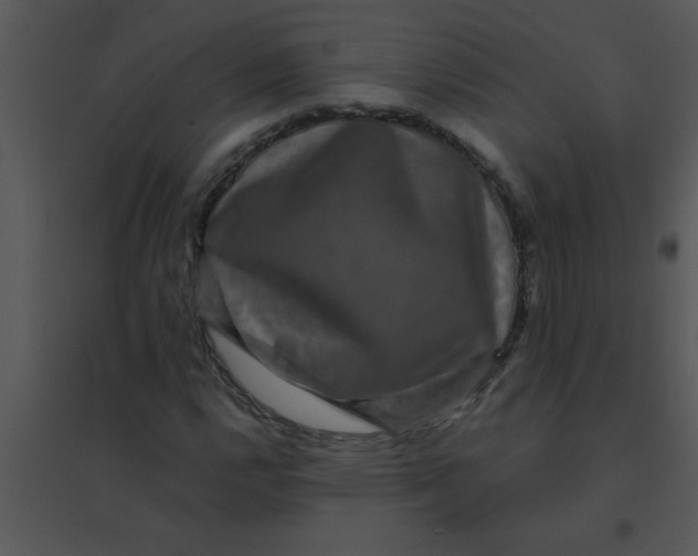 X0000095541112200801041303