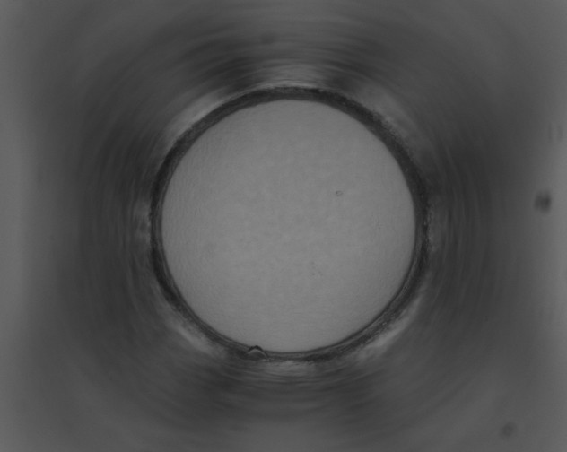 X0000095541113200801041303