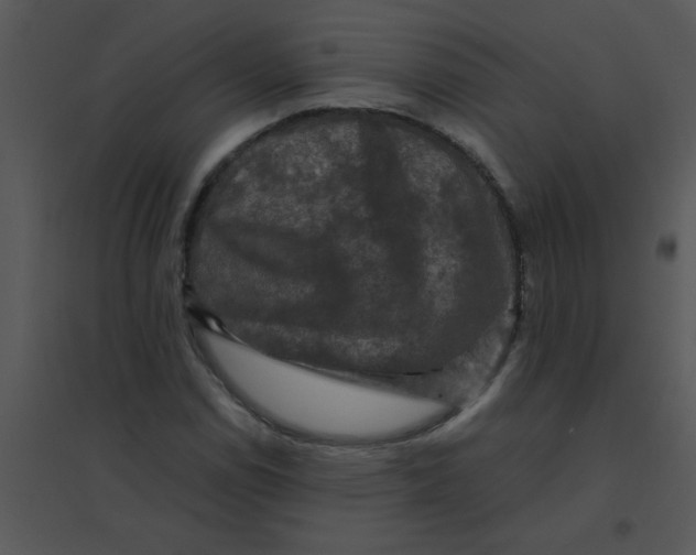 X0000095541114200801041303