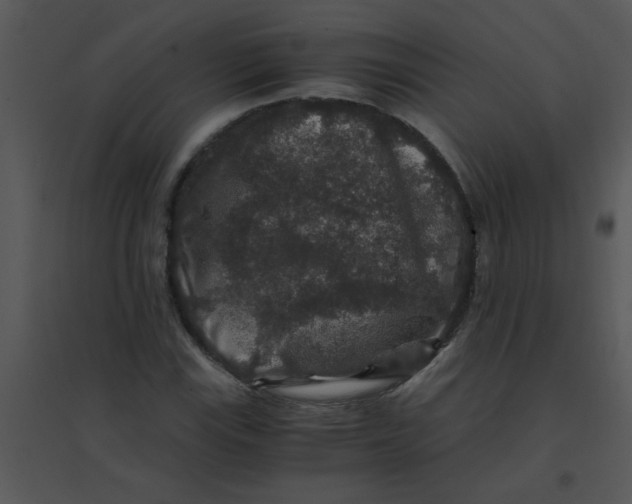 X0000095541115200801041303