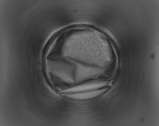 X0000095541116200801041303