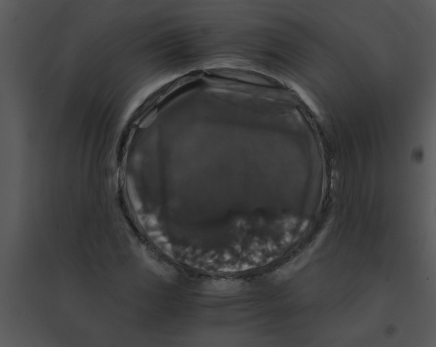 X0000095541117200801041303