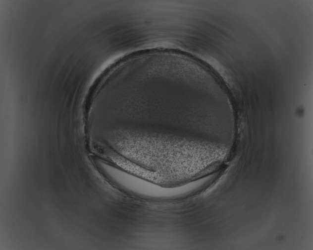 X0000095541118200801041303