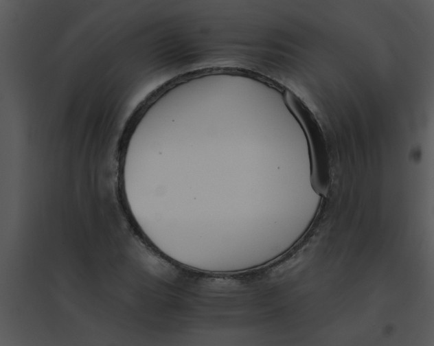 X0000095541119200801041303