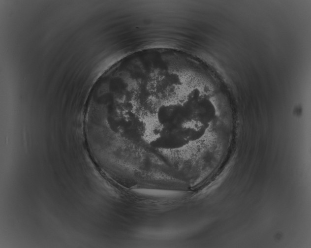 X0000095541121200801041303