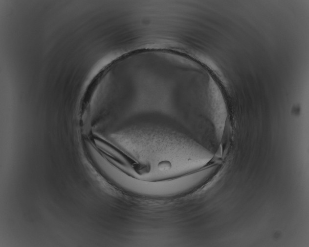 X0000095541122200801041303