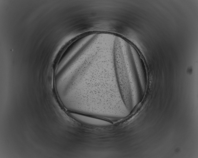 X0000095541123200801041303