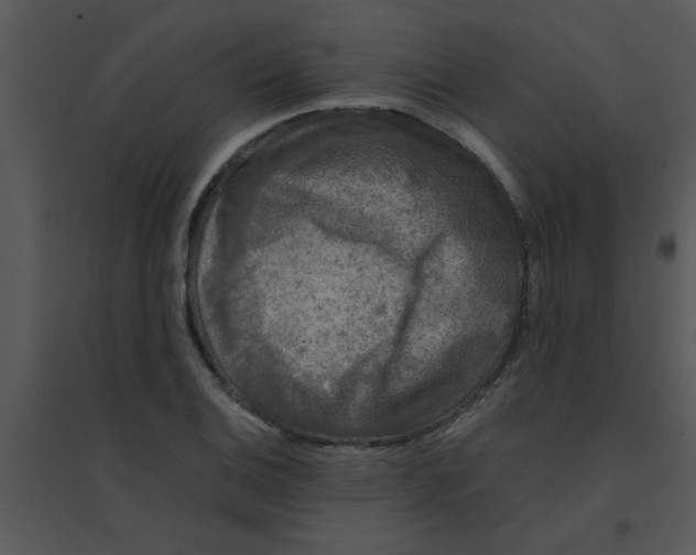 X0000095541124200801041303