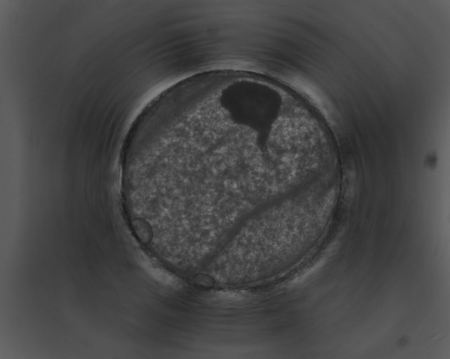 X0000095541125200801041303