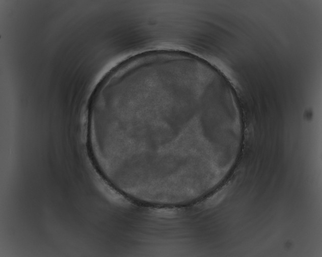 X0000095541126200801041303