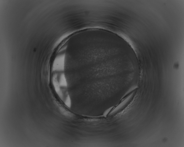 X0000095541127200801041303