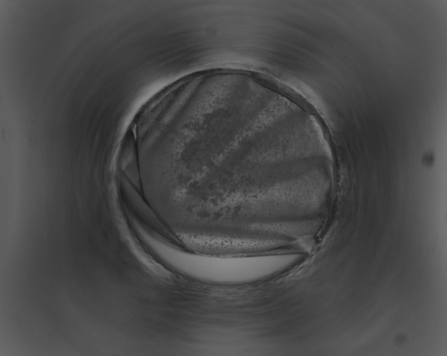 X0000095541128200801041303