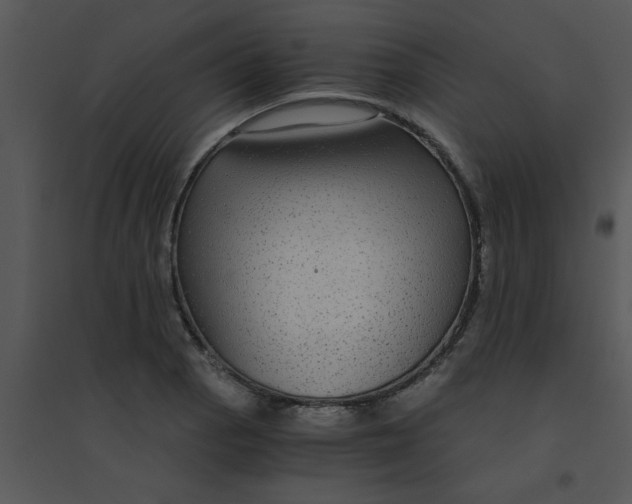 X0000095541129200801041303